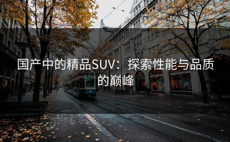 国产中的精品SUV：探索性能与品质的巅峰