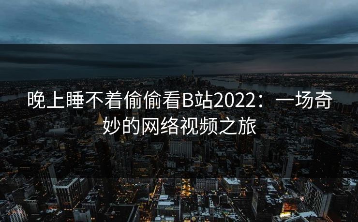 晚上睡不着偷偷看B站2022：一场奇妙的网络视频之旅