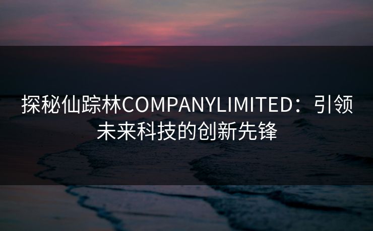 探秘仙踪林COMPANYLIMITED:引领未来科技的创新先锋 探秘仙踪林COMPANYLIMITED:引领未来科技的创新先锋