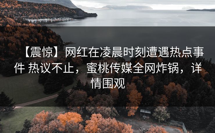 【震惊】网红在凌晨时刻遭遇热点事件 热议不止,蜜桃传媒全网炸锅,详情围观 【震惊】网红在凌晨时刻遭遇热点事件 热议不止,蜜桃传媒全网炸锅,详情围观